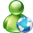 MSN Web Icon